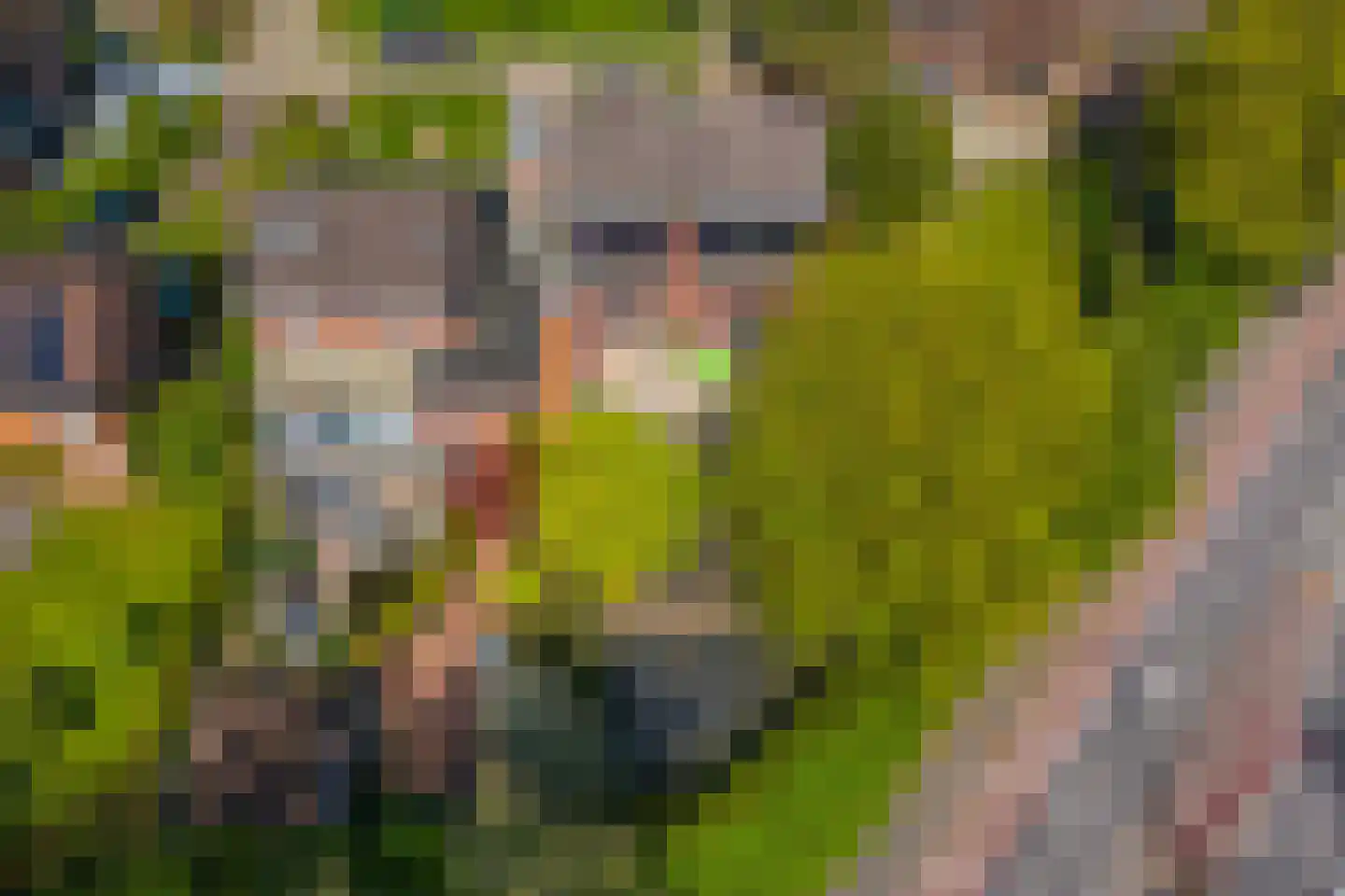 Kikvorsweide 1 Nieuwegein thumbnail 60