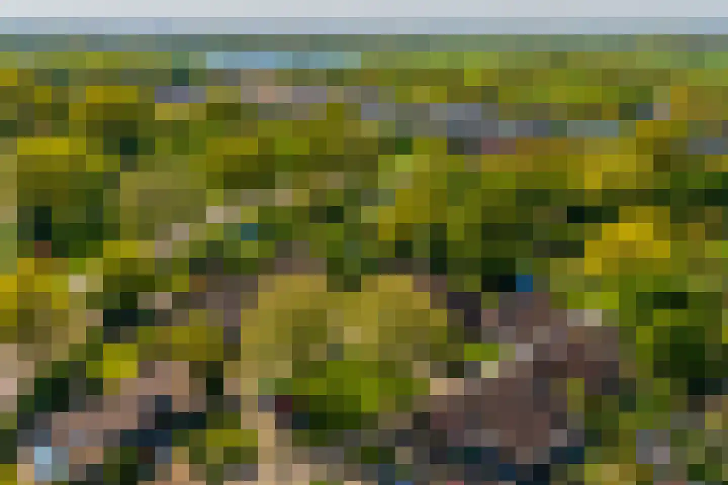 Kikvorsweide 1 Nieuwegein thumbnail 62