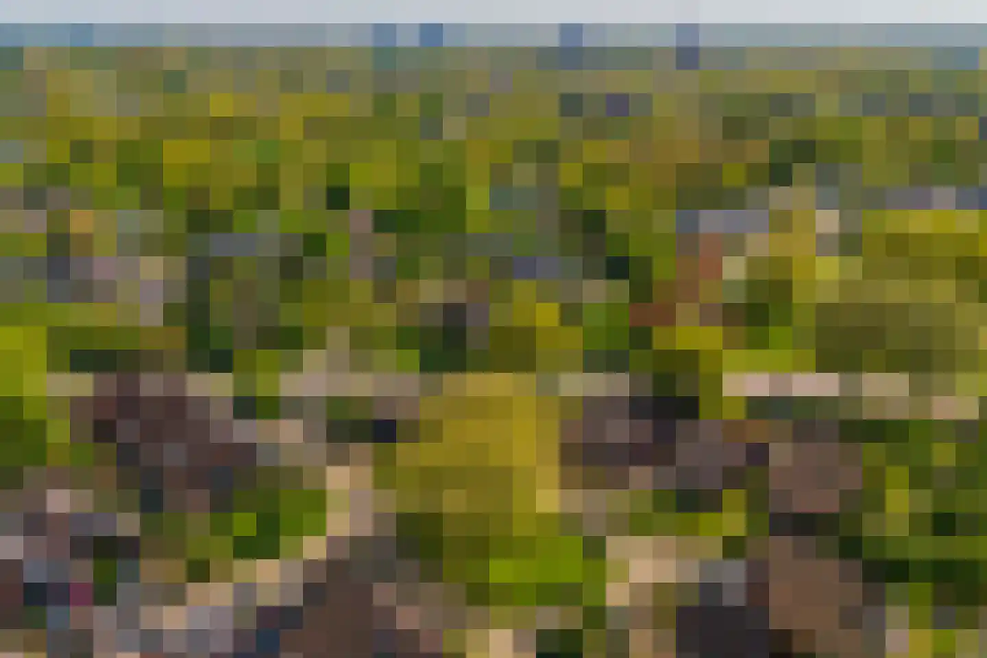Kikvorsweide 1 Nieuwegein thumbnail 63