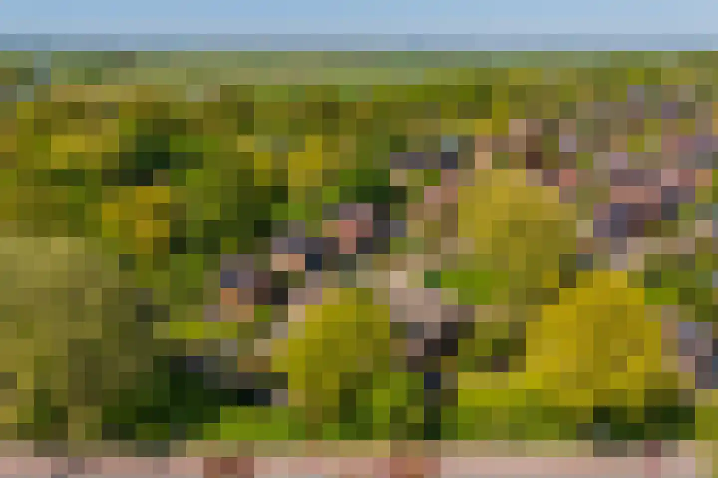 Kikvorsweide 1 Nieuwegein thumbnail 64
