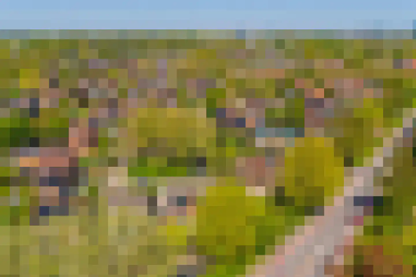 Kikvorsweide 1 Nieuwegein thumbnail 65