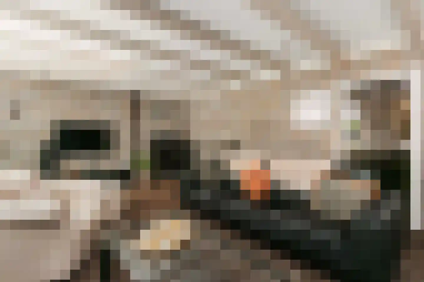 Kikvorsweide 1 Nieuwegein thumbnail 8
