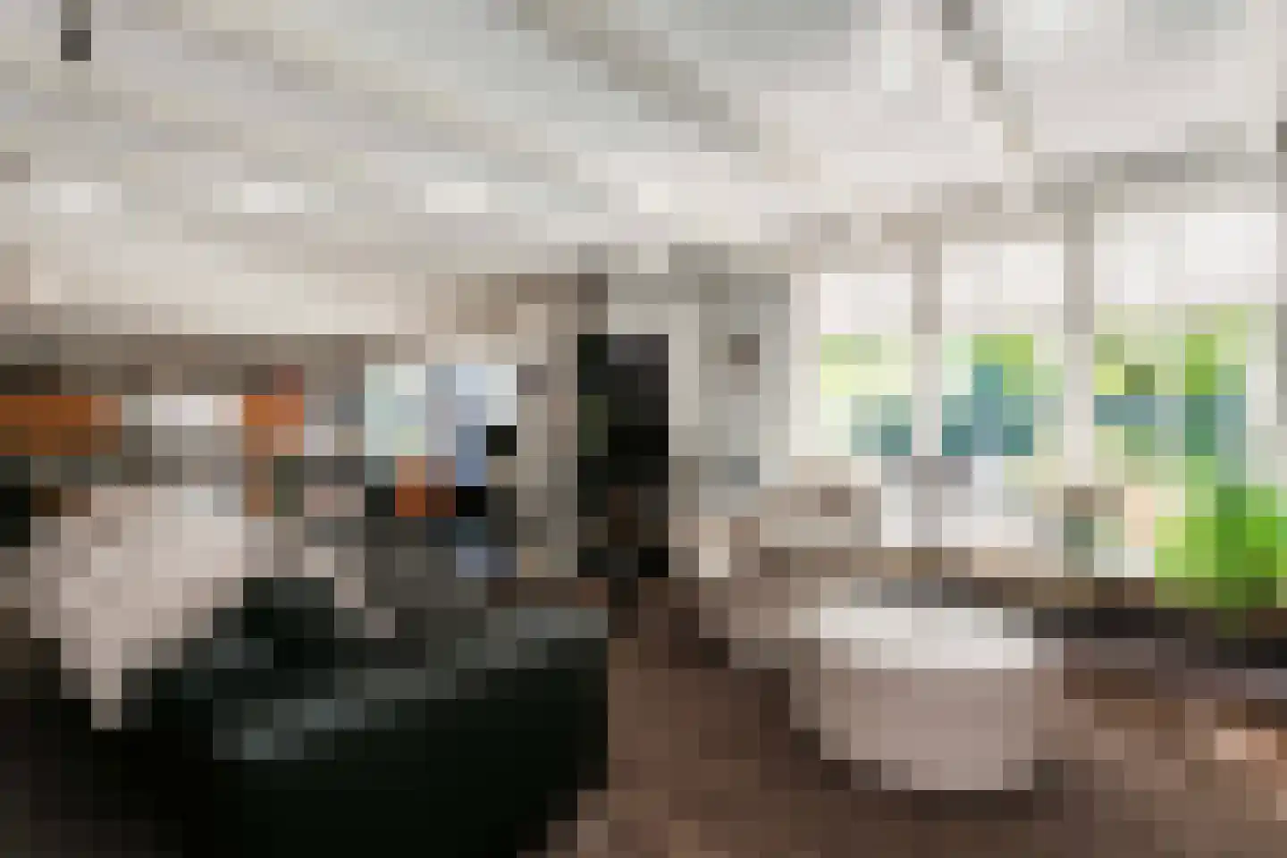 Kikvorsweide 1 Nieuwegein thumbnail 9