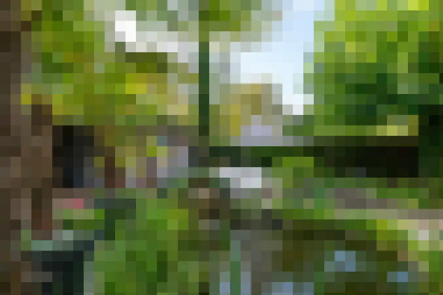 Kikvorsweide 2 Nieuwegein thumbnail 44