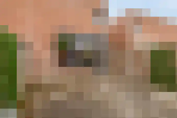 Kil 22 Rotterdam thumbnail 40