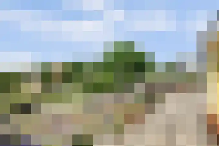 Kildijk 19 Nieuwendijk thumbnail 31