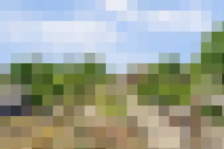 Kildijk 19 Nieuwendijk thumbnail 32