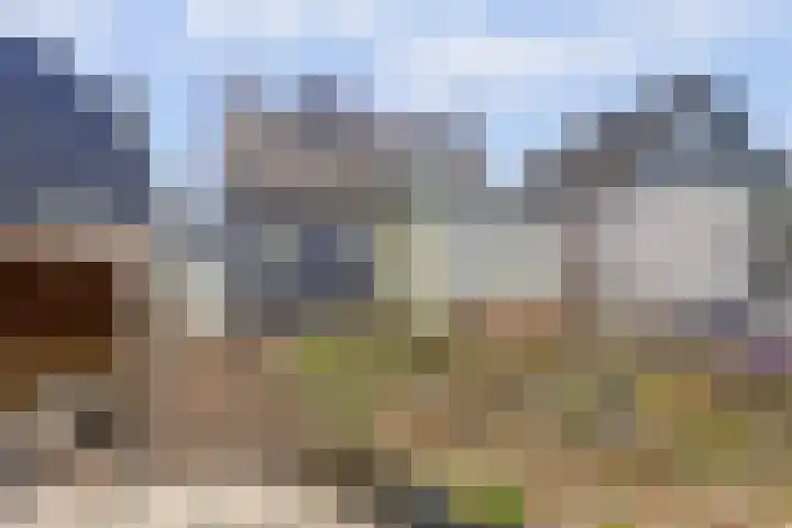 Kildijk 19 Nieuwendijk thumbnail 33