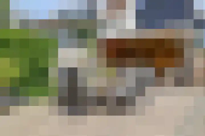 Kildijk 19 Nieuwendijk thumbnail 34