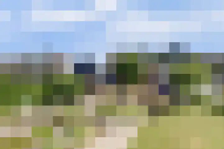 Kildijk 19 Nieuwendijk thumbnail 35