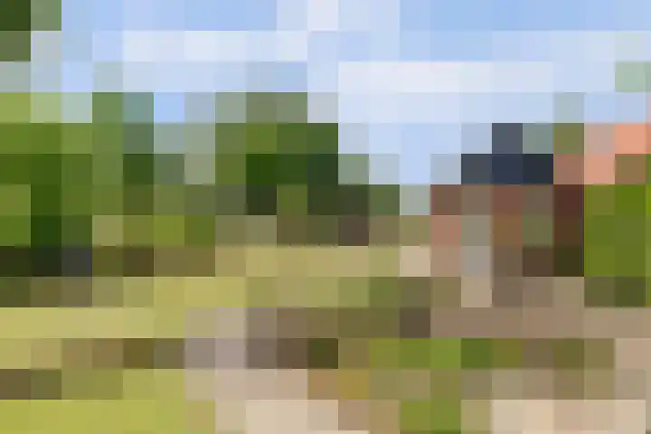Kildijk 19 Nieuwendijk thumbnail 36
