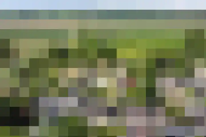 Kildijk 19 Nieuwendijk thumbnail 4
