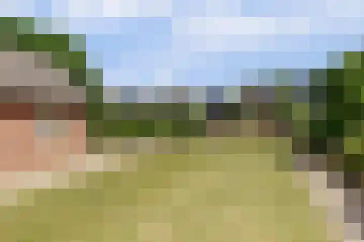 Kildijk 19 Nieuwendijk thumbnail 41