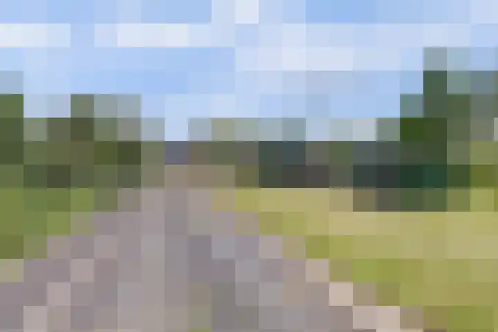 Kildijk 19 Nieuwendijk thumbnail 43