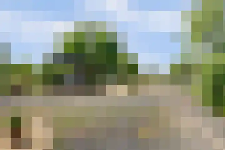 Kildijk 19 Nieuwendijk thumbnail 44