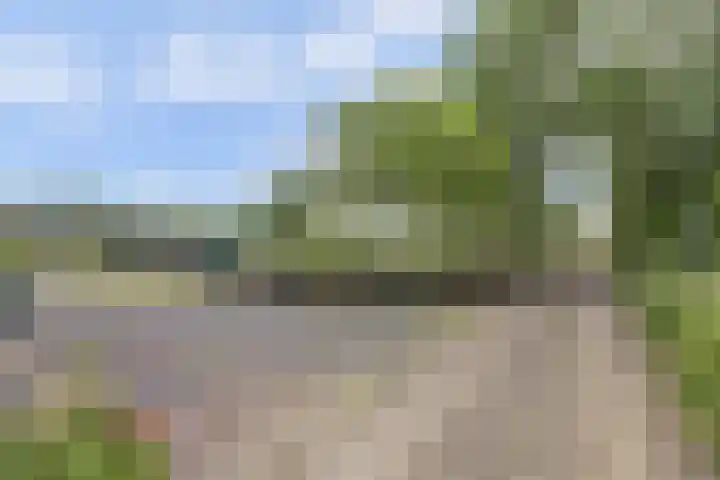 Kildijk 19 Nieuwendijk thumbnail 45