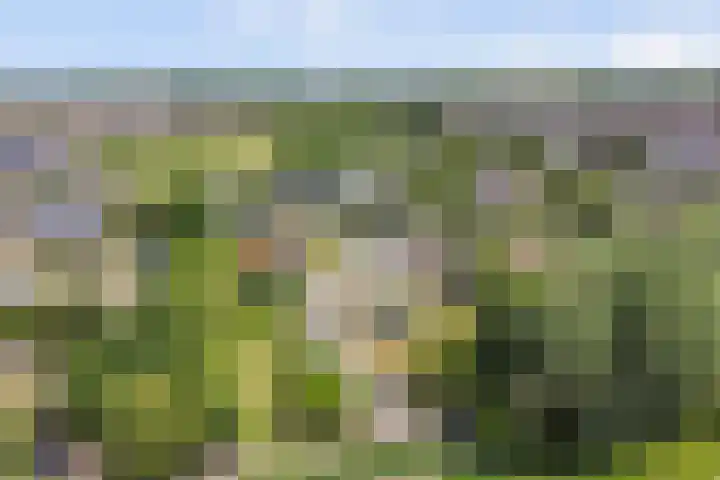 Kildijk 19 Nieuwendijk thumbnail 6