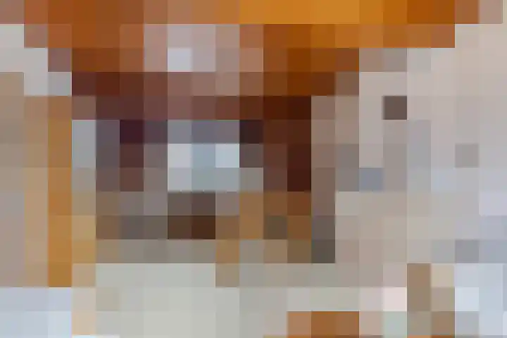 Kildijk 40 Nieuwendijk thumbnail 12