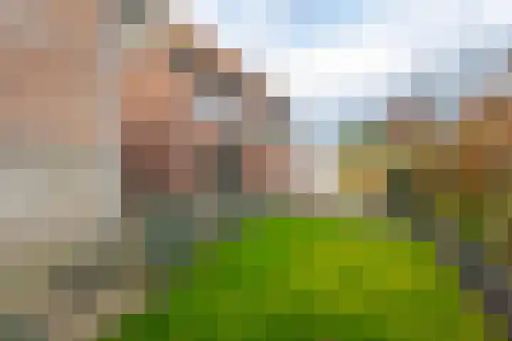 Kildijk 40 Nieuwendijk thumbnail 34