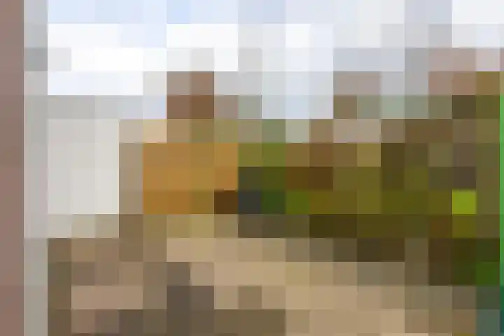Kildijk 40 Nieuwendijk thumbnail 36