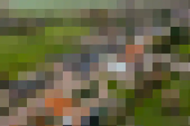 Kildijk 40 Nieuwendijk thumbnail 42