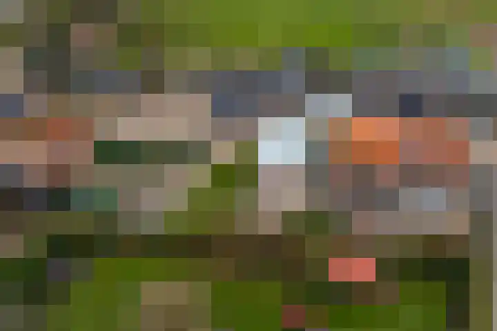 Kildijk 40 Nieuwendijk thumbnail 44