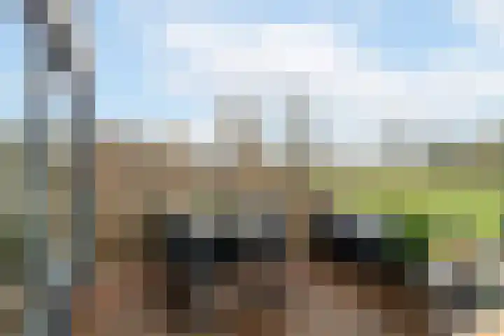 Kildijk 48 Nieuwendijk thumbnail 18