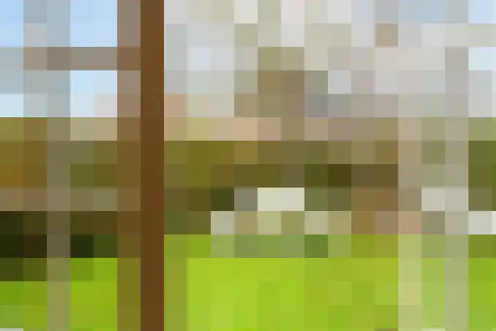 Kildijk 48 Nieuwendijk thumbnail 34