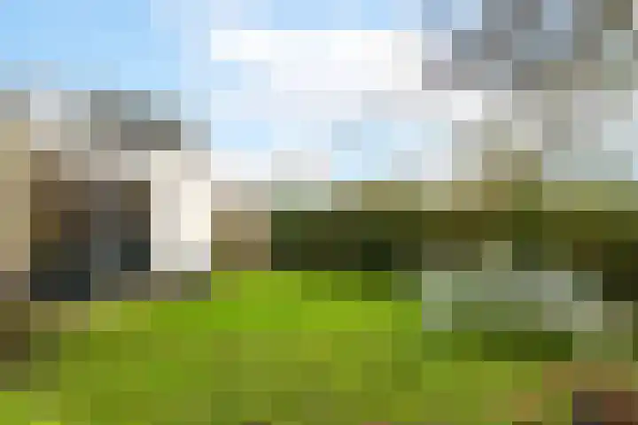 Kildijk 48 Nieuwendijk thumbnail 37