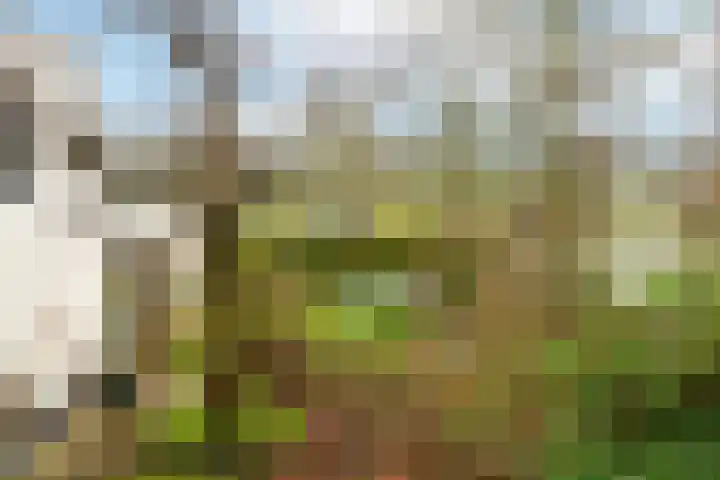 Kildijk 48 Nieuwendijk thumbnail 38