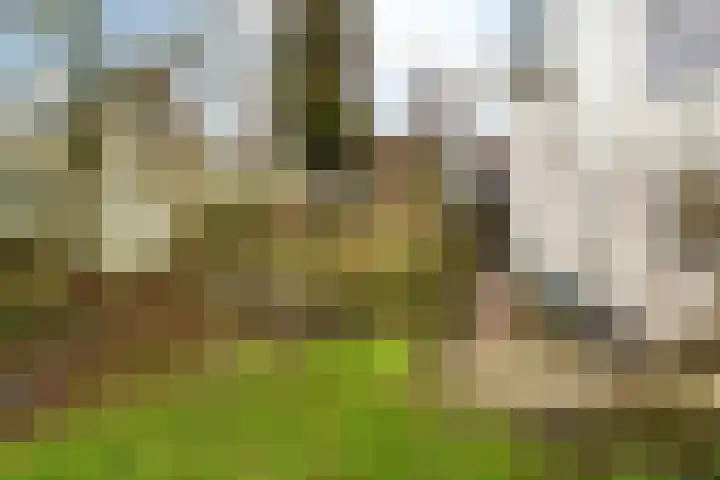 Kildijk 48 Nieuwendijk thumbnail 39