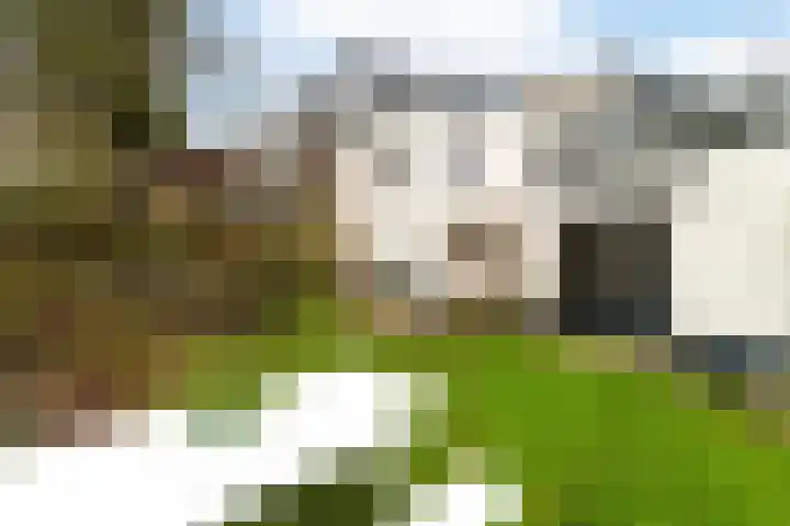 Kildijk 48 Nieuwendijk thumbnail 40