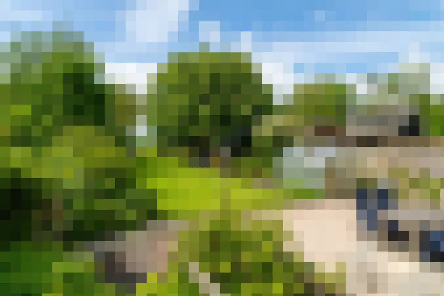 Kildijk 59 Nieuwendijk thumbnail 22