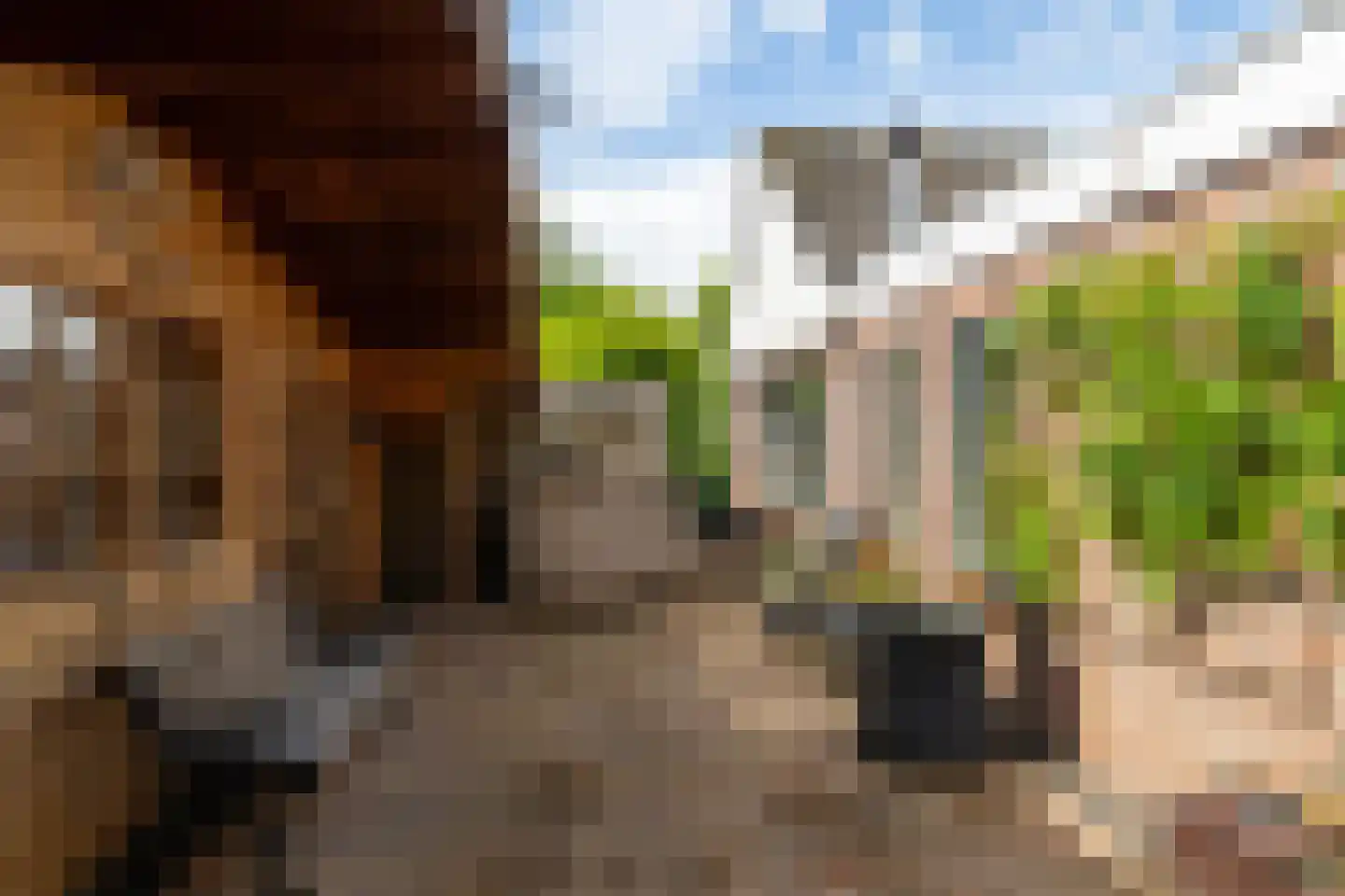Kildijk 59 Nieuwendijk thumbnail 24