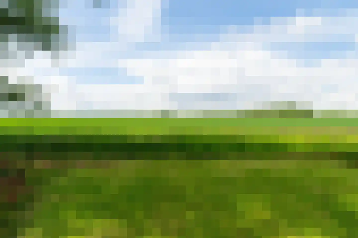 Kildijk 59 Nieuwendijk thumbnail 33