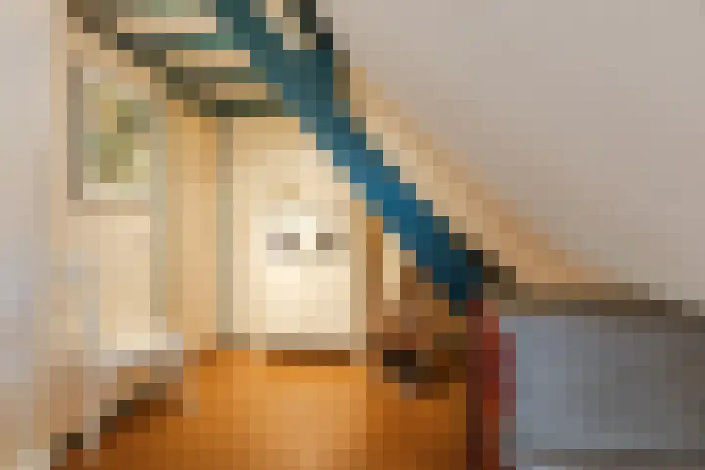Kildijk 80 Nieuwendijk thumbnail 11