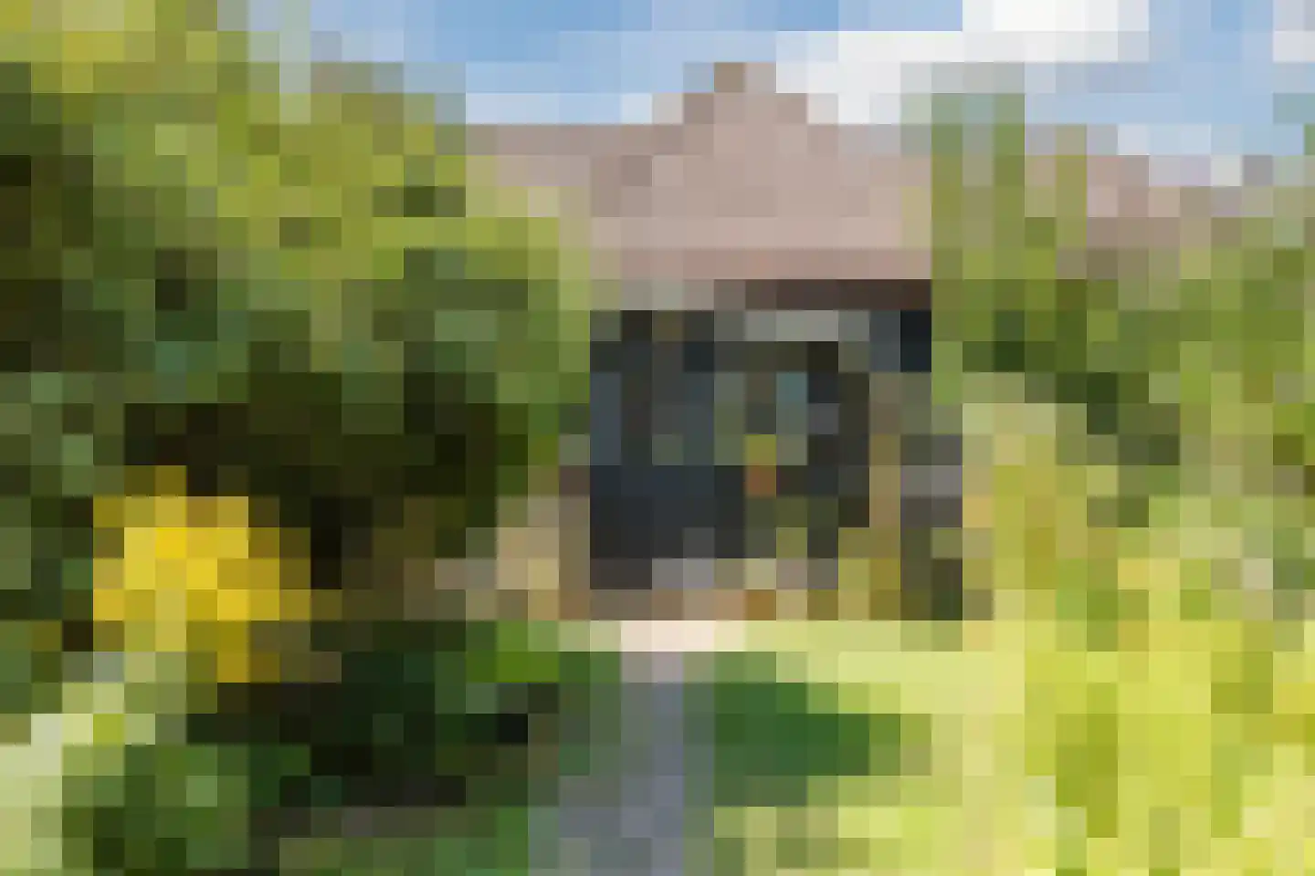 Kildijk 80 Nieuwendijk thumbnail 16