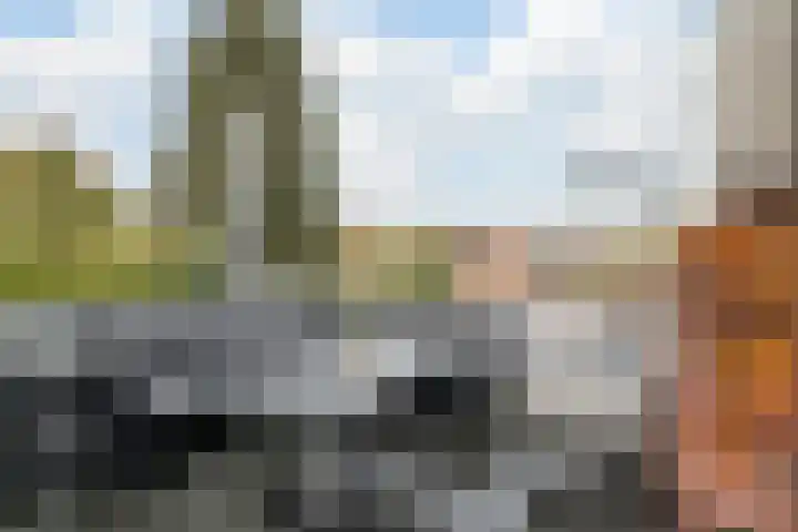 Kilsdonk 25 Oosterhout thumbnail 16