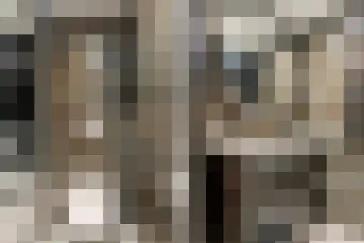 Kilsdonk 25 Oosterhout thumbnail 26