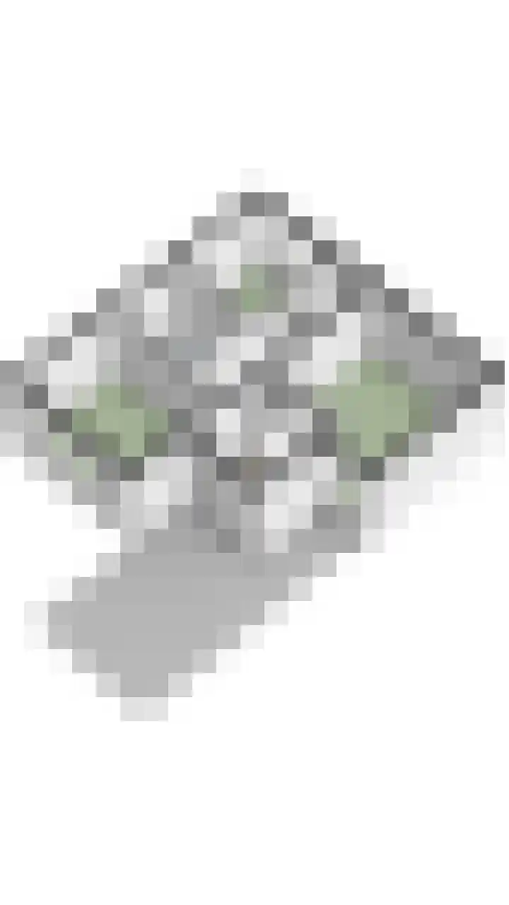 Kilsdonk 25 Oosterhout thumbnail 38
