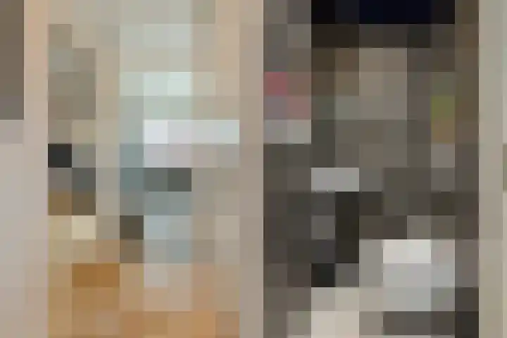 Kilsdonk 25 Oosterhout thumbnail 8