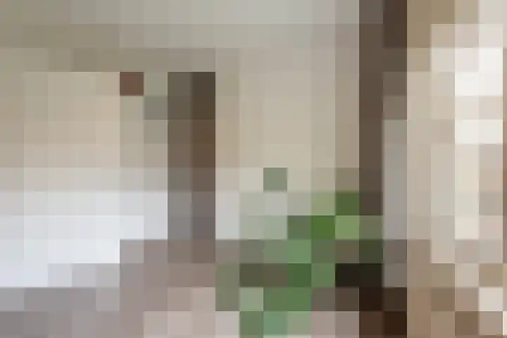 Kilstraat 11 Maasdam thumbnail 31