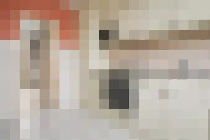 Kilstraat 2 Maasdam thumbnail 7