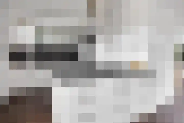 Kilstraat 26 Maasdam thumbnail 10