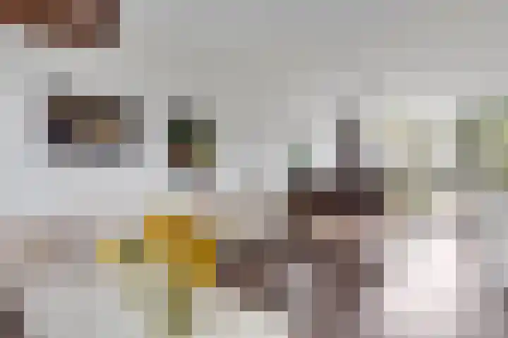 Kilstraat 26 Maasdam thumbnail 17