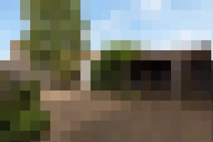 Kilstraat 26 Maasdam thumbnail 4