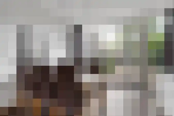 Kilstraat 26 Maasdam thumbnail 7