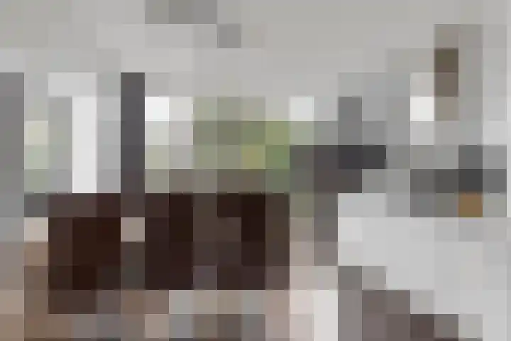 Kilstraat 26 Maasdam thumbnail 8