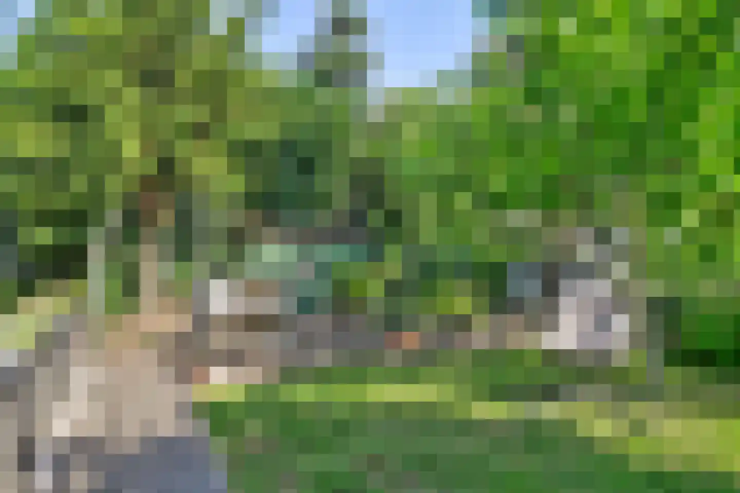 Kilweg 15 's-Gravendeel thumbnail 40