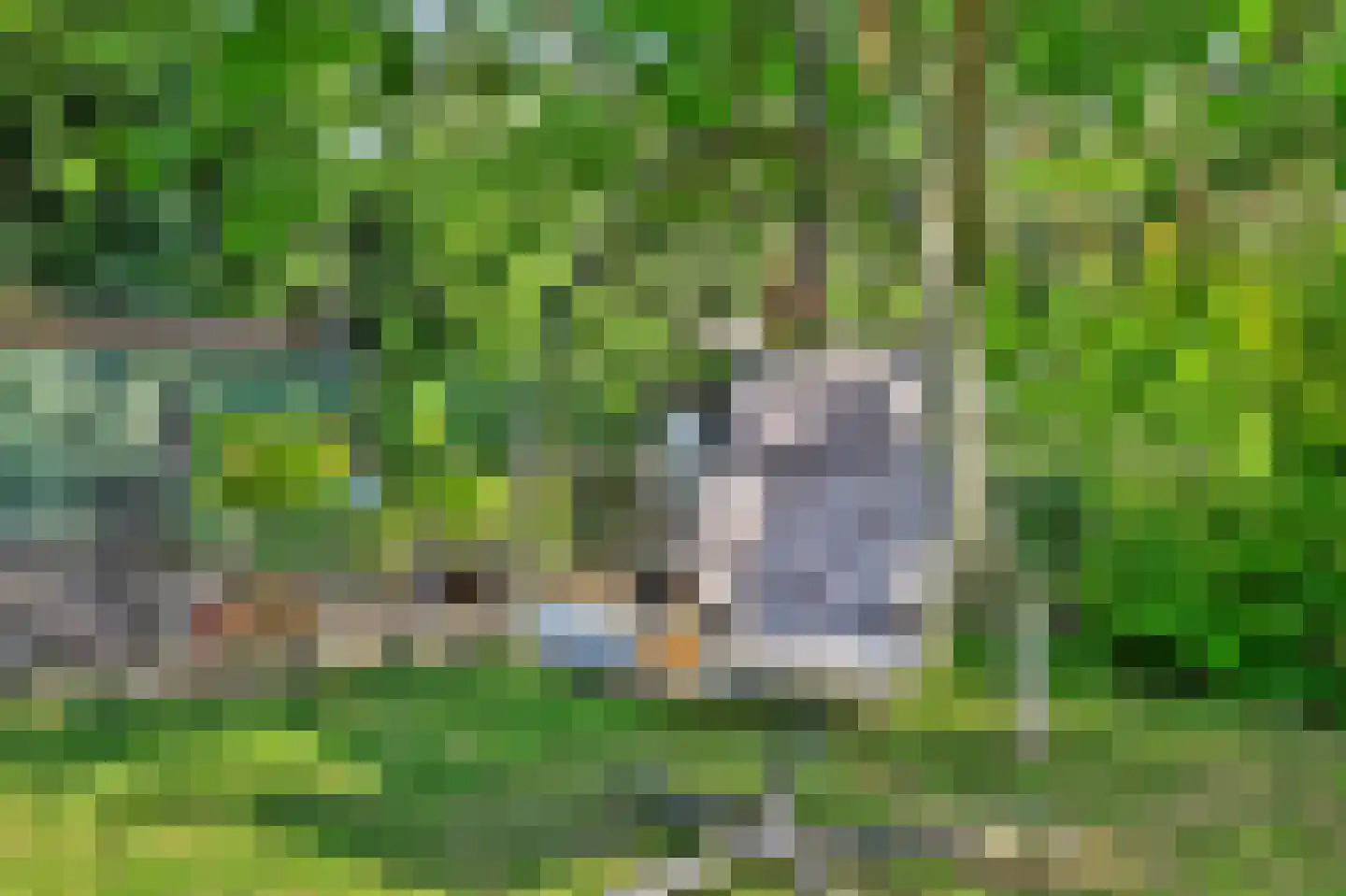 Kilweg 15 's-Gravendeel thumbnail 42